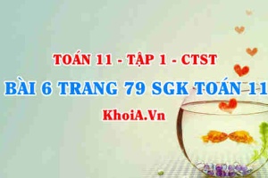 Bài 6 trang 79 SGK Toán 11 Tập 1 Chân trời sáng tạo